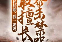 完结版《全民转职：我一奶妈，最擅长暴击禁咒》章节阅读-推书机