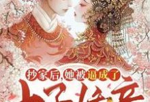 完结版《抄家后，她被逼成了太子娇妾》章节阅读-推书机