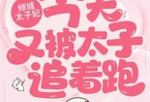 完结版《倾城太子妃：今天又被太子追着跑》章节阅读-推书机