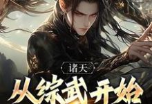 诸天：从综武开始证道长生章节免费在线阅读，周昊完结版-推书机