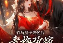 完结版《竹马皇子失忆后，青梅改嫁太子了》章节目录在线阅读-推书机