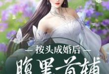 小说《按头成婚后，腹黑首辅宠妻为上》章节免费阅读-推书机