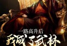 完结版《一路高升后，我成了武林超级BOSS》章节目录在线阅读-推书机