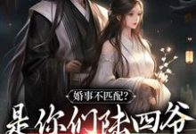 完结版《婚事不匹配？是你们陆四爷配不上我》免费阅读-推书机