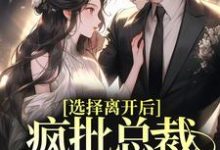 完结版《选择离开后，疯批总裁追妻火葬场》免费阅读-推书机