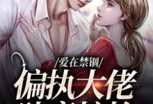 完结版《爱在禁锢：偏执大佬肆意掠抢》在线免费阅读-推书机