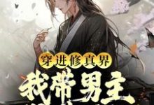 穿进修真界：我带男主得道升仙章节免费在线阅读，浮笙晏苏完结版-推书机