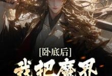 卧底后，我把魔界圣女拿下了小说全文哪里可以免费看？-推书机