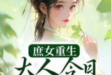 庶女重生：大人今日断案否？夏桉盛枷，庶女重生：大人今日断案否？章节在线阅读-推书机