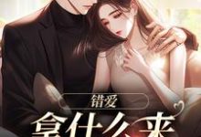 完结版《错爱：拿什么来拯救你》章节阅读-推书机