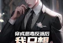 完结版《穿成恶毒反派后，我只想离婚保平安》在线免费阅读-推书机