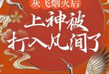 完结版《灰飞烟灭后，上神被打入凡间了》在线免费阅读-推书机