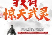 完结版《我有惊天武灵》免费阅读-推书机