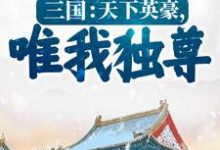 三国：天下英豪，唯我独尊！小说无弹窗阅读的网站推荐-推书机