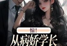 《惊！从病娇学长身边逃跑失败了》全集免费在线阅读（叶寒向暖）-推书机