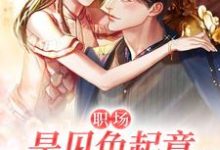 完结版《职场：是见色起意也是长相厮守》章节阅读-推书机