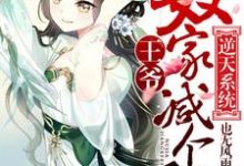 完结版《逆天系统：王爷，奴家减个肥》章节目录在线阅读-推书机