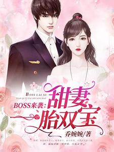 《BOSS来袭：甜妻一胎双宝》小说章节列表免费试读，苏沫沫厉司夜小说在线阅读