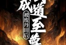 完结版《被废丹田后，我成武道至尊》章节阅读-推书机