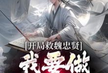 完结版《开局救魏忠贤，我要做宫斗冠军》在线免费阅读-推书机