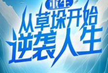 重生：从草垛开始逆袭人生章节免费在线阅读，李青云何小雅完结版-推书机