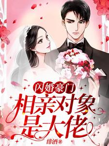 《闪婚豪门：相亲对象是大佬》小说许南音陆南骁章节章节免费在线阅读