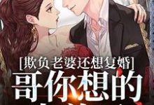 《欺负老婆还想复婚，哥你想的太美了》全集免费在线阅读（司染墨寒屿）-推书机