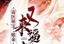 已完结小说《毒医萌宝：娘亲，父皇又来逼婚了》章节在线阅读-推书机