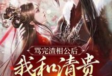 完结版《骂完渣相公后，我和清贵公子度春宵》免费阅读-推书机