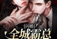 完结版《闪婚：全城霸总一夜失恋》在线免费阅读-推书机