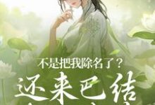 小说《不是把我除名了？还来巴结本妃作甚》章节免费阅读-推书机