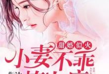 小说《甜婚似火：小妻不乖，撩上瘾》章节阅读-推书机