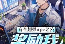 完结版《有个超强npc老公，奖励我框框拿》章节阅读-推书机