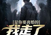 完结版《是你要离婚的，我走了你又哭？》章节阅读-推书机