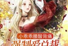 小说完整版《小乖乖腰酸背痛，强制爱总裁是疯批》免费阅读-推书机