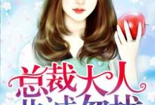 安小雅穆凌完整版《总裁大人非诚勿扰》小说免费阅读-推书机