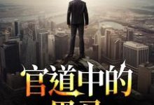 完结版《救到命中贵人后，官职一路高升》免费阅读-推书机