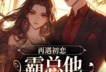 《再遇初恋，霸总他追女好心机》小说免费阅读完整版-推书机