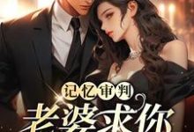 林冉傅行简完整版《记忆审判：老婆求你看我一眼》小说免费阅读-推书机