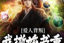 完结版《爱人背叛，我撕婚书重振王府之威》章节目录在线阅读-推书机