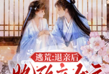 《逃荒：退亲后，她改立女户招赘婿》许知意沈无忧小说免费阅读完整版-推书机