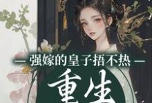 沈安安小说免费阅读完整版-推书机