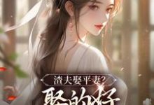 完结版《渣夫娶平妻？娶的好，下次别再娶了》章节目录在线阅读-推书机