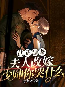 完结版《扶正绿茶？夫人改嫁少帅你哭什么》章节阅读