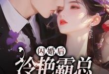 小说《闪婚后，冷艳霸总宠妻无度》在线章节阅读-推书机