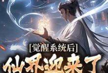 小说完整版《觉醒系统后，仙界迎来了互联网时代》免费阅读-推书机