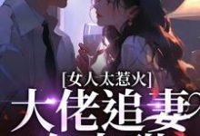 《女人太惹火，大佬追妻有点甜》小说免费阅读完整版-推书机