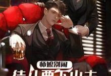 完结版《师娘别闹，徒儿要下山去祸害未婚妻了》章节目录在线阅读-推书机