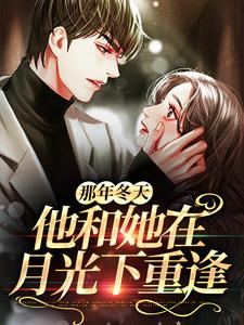 小说完整版《那年冬天，他和她在月光下重逢》免费阅读