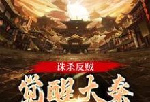 嬴启完整版《诛杀反贼，觉醒大秦千年气运》小说免费阅读-推书机